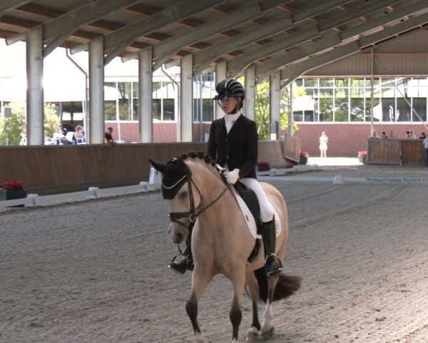 Reitturnier Langenfeld 2025