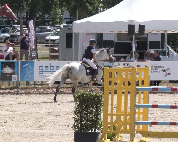 Reitturnier Langenfeld 2025