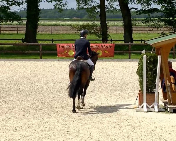 Klein Roscharden May Tour 2014
