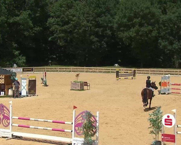 Reitturnier Tiefenhof/Opf. 2025