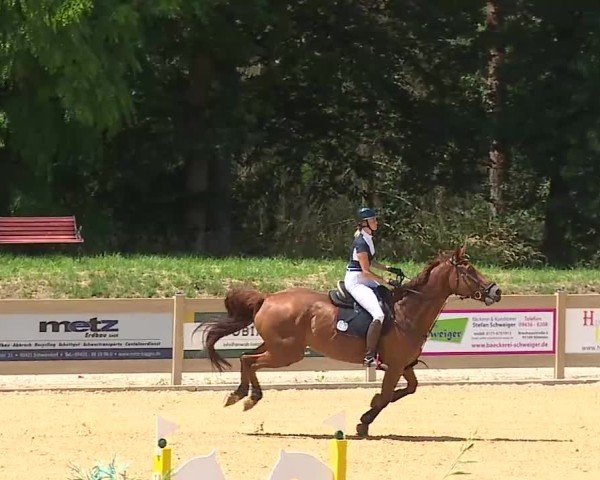 Reitturnier Tiefenhof/Opf. 2025