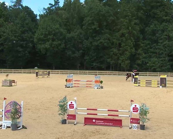 Reitturnier Tiefenhof/Opf. 2025