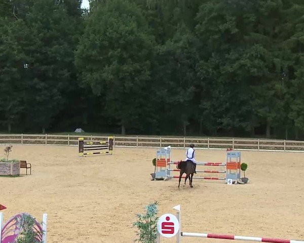 Reitturnier Tiefenhof/Opf. 2025