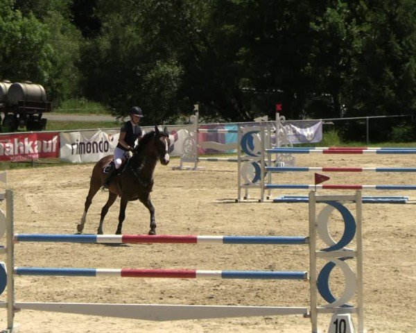 Reitturnier Bad Liebenstein/Sorga 2025