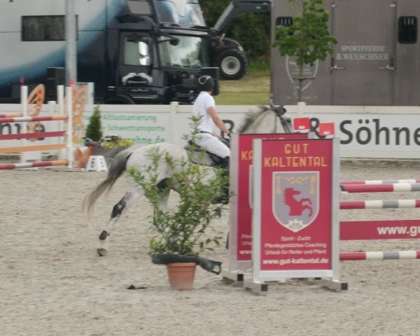 Reitturnier Babenhausen/Schw. 2025