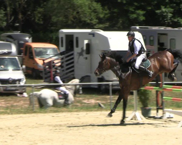 Reitturnier Bad Liebenstein/Sorga 2025