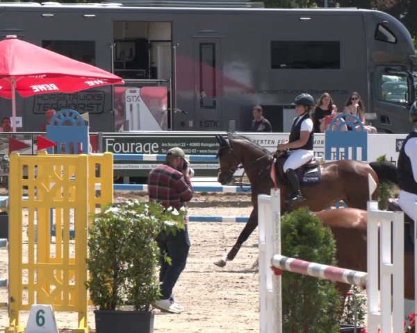 Reitturnier Langenfeld 2025