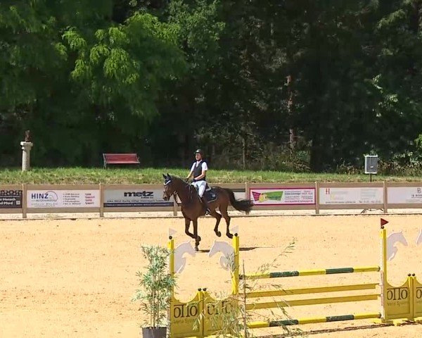 Reitturnier Tiefenhof/Opf. 2025