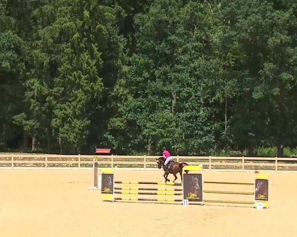Reitturnier Tiefenhof/Opf. 2025
