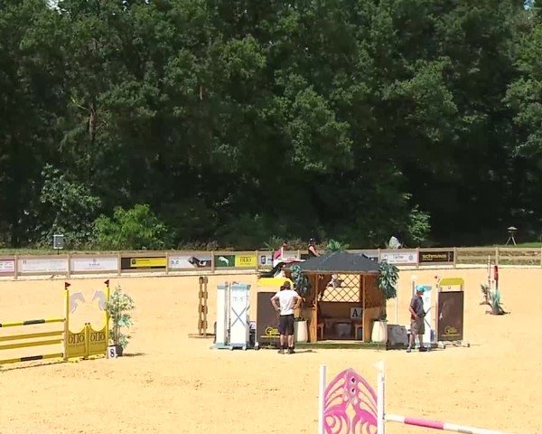 Reitturnier Tiefenhof/Opf. 2025