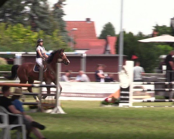 Reitturnier Schwittersdorf-Beesenstedt 2025
