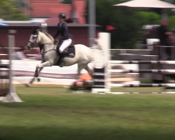 Reitturnier Schwittersdorf-Beesenstedt 2025