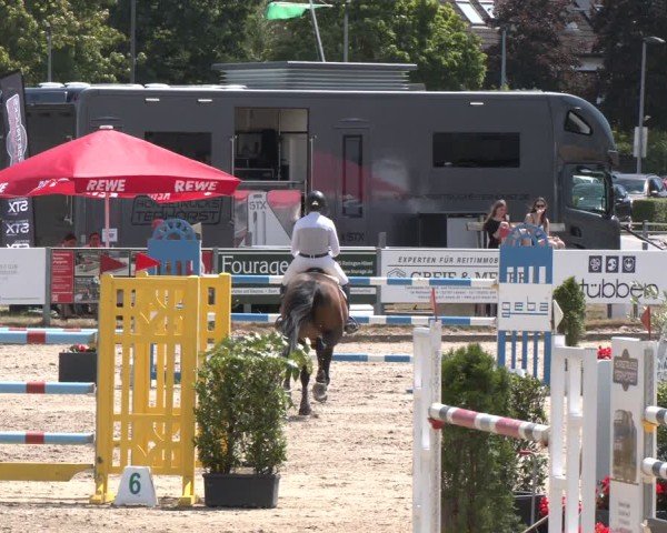 Reitturnier Langenfeld 2025