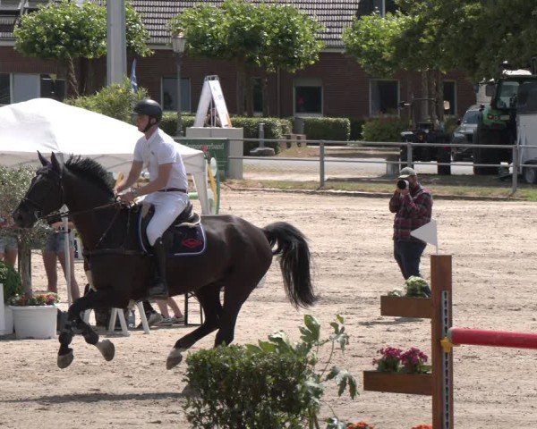 Reitturnier Langenfeld 2025