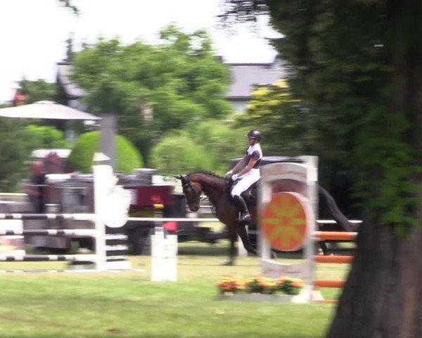 Reitturnier Schwittersdorf-Beesenstedt 2025