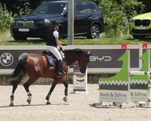 Reitturnier Babenhausen/Schw. 2025