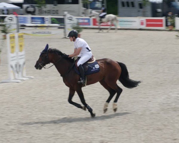 Reitturnier Babenhausen/Schw. 2025