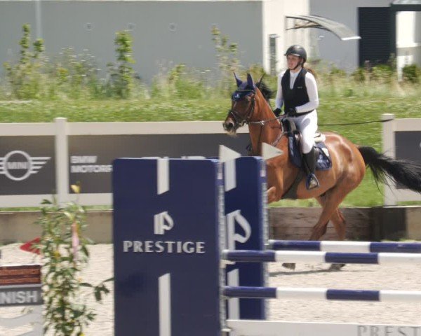 Reitturnier Babenhausen/Schw. 2025