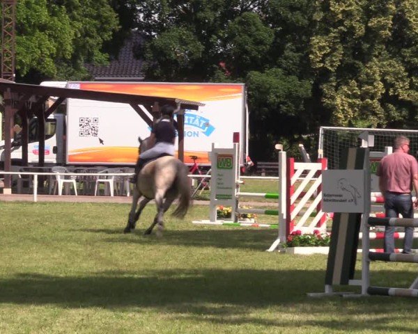 Reitturnier Schwittersdorf-Beesenstedt 2025