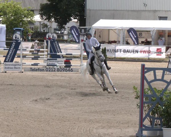 Reitturnier Langenfeld 2025