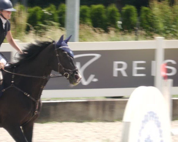Reitturnier Babenhausen/Schw. 2025