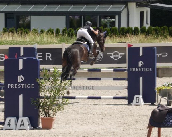 Reitturnier Babenhausen/Schw. 2025