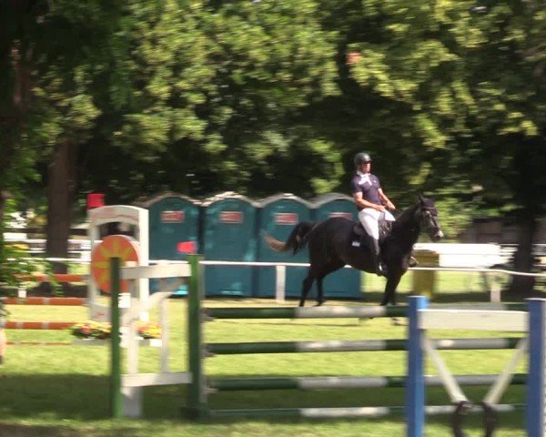 Reitturnier Schwittersdorf-Beesenstedt 2025