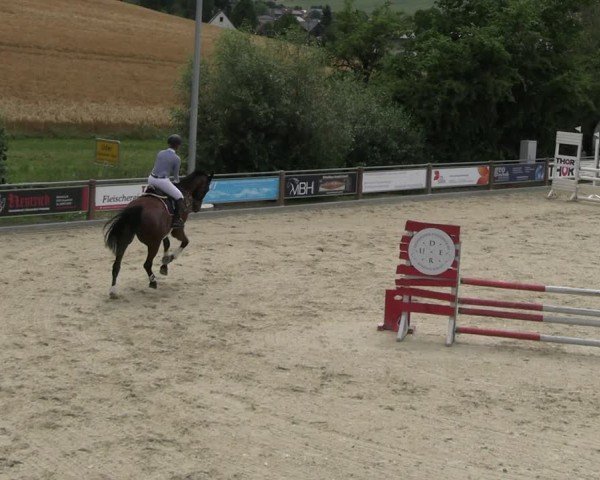 Reitturnier Uder, Reitanlage Kobold 2025