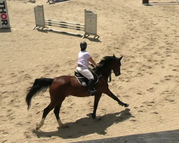Reitturnier Uder, Reitanlage Kobold 2025