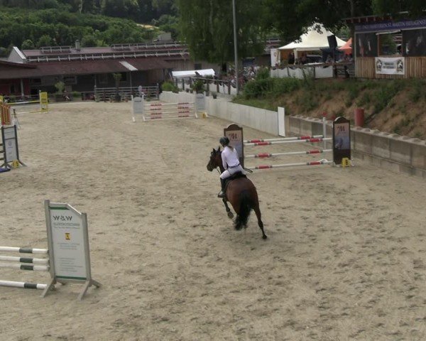 Reitturnier Uder, Reitanlage Kobold 2025