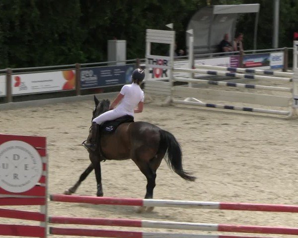Reitturnier Uder, Reitanlage Kobold 2025