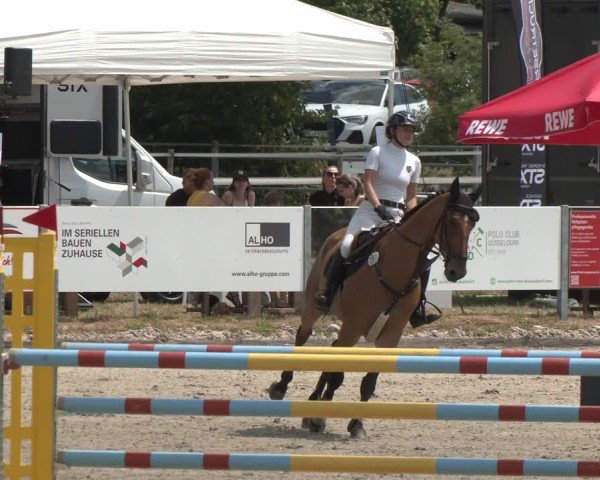 Reitturnier Langenfeld 2025