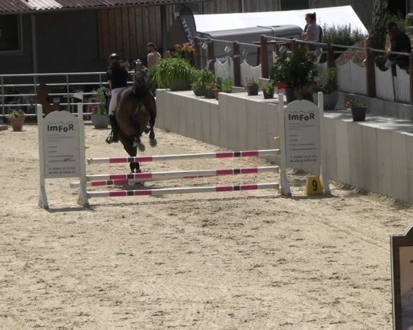Reitturnier Uder, Reitanlage Kobold 2025
