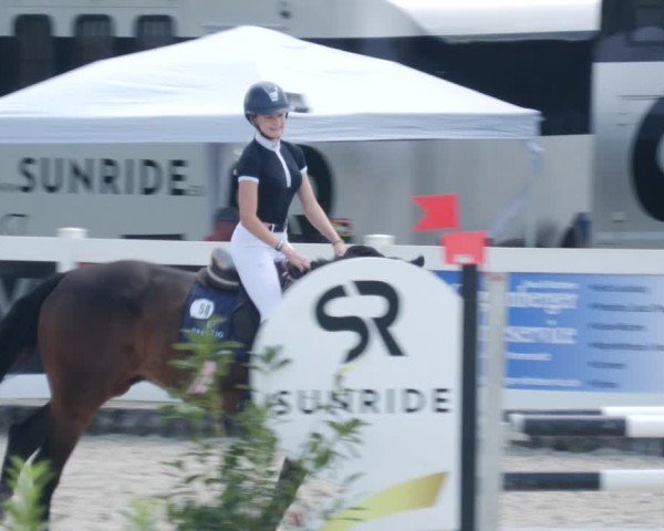 Reitturnier Babenhausen/Schw. 2025