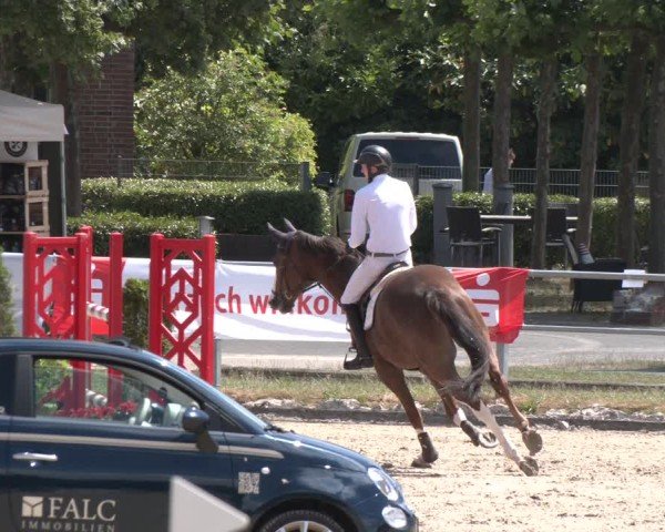 Reitturnier Langenfeld 2025