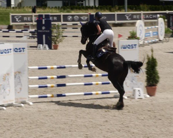 Reitturnier Babenhausen/Schw. 2025
