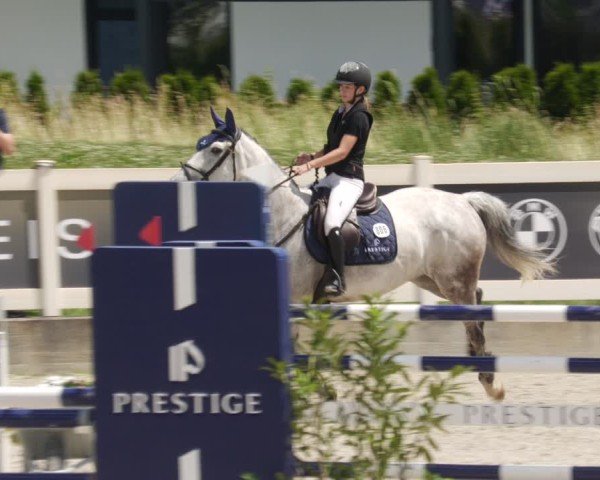 Reitturnier Babenhausen/Schw. 2025