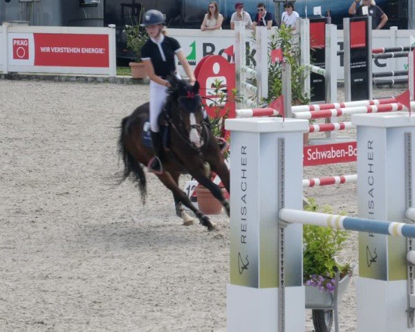 Reitturnier Babenhausen/Schw. 2025