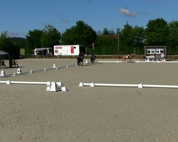 Reitturnier Großbardorf/Ufr. 2025