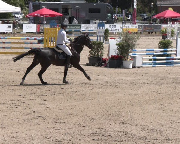 Reitturnier Langenfeld 2025