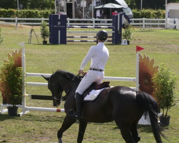 Reitturnier Aach 2025