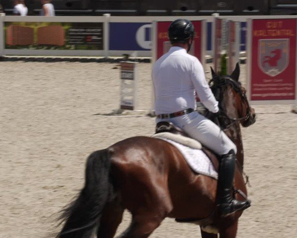 Reitturnier Babenhausen/Schw. 2025