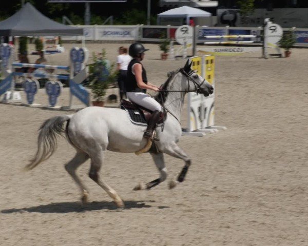 Reitturnier Babenhausen/Schw. 2025