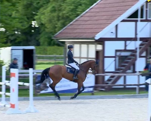 Klein Roscharden May Tour 2014