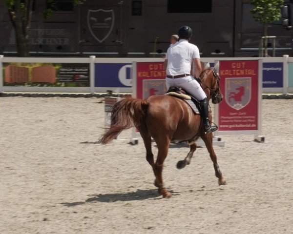 Reitturnier Babenhausen/Schw. 2025