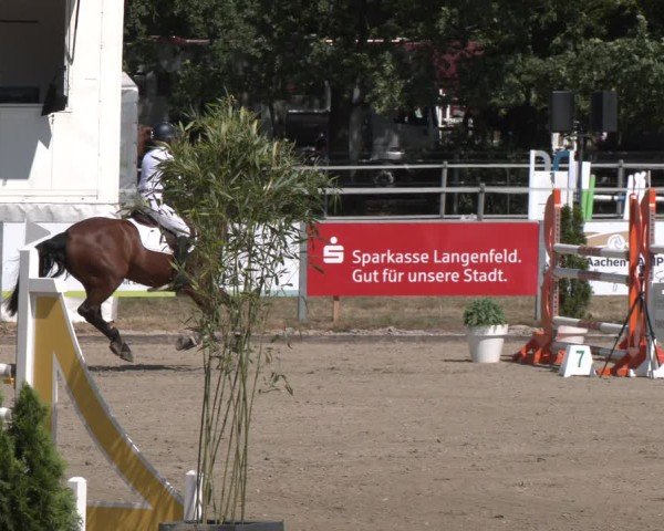 Reitturnier Langenfeld 2025