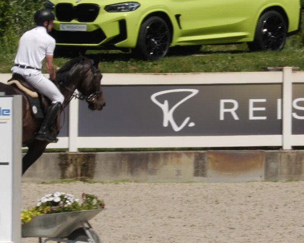 Reitturnier Babenhausen/Schw. 2025