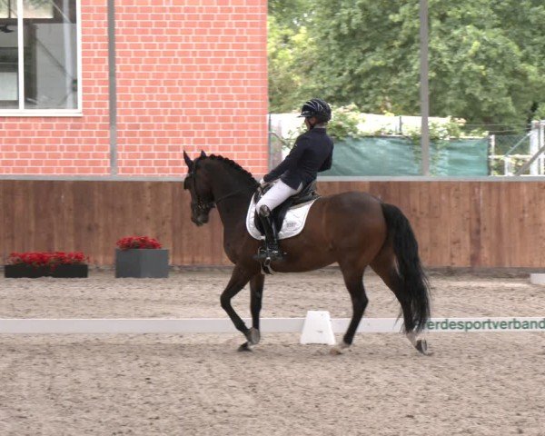 Reitturnier Langenfeld 2025