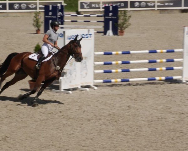 Reitturnier Babenhausen/Schw. 2025