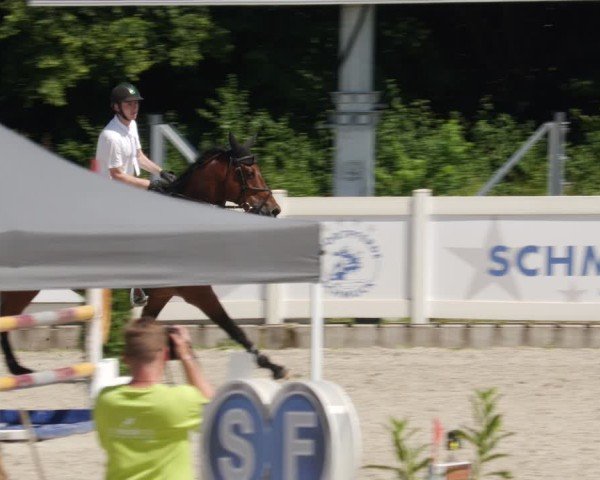 Reitturnier Babenhausen/Schw. 2025